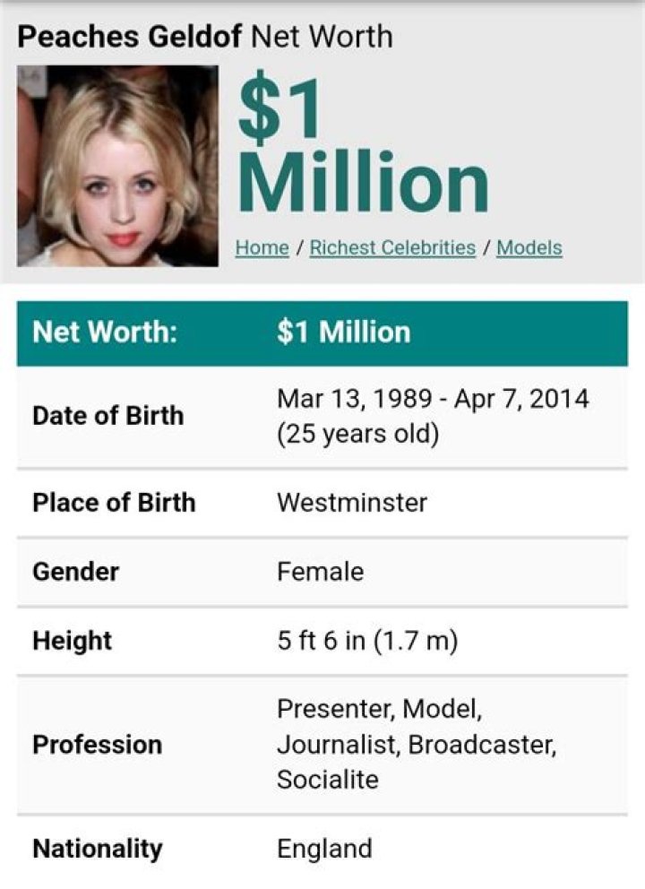 Peaches Geldof Net Worth