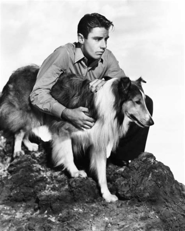 Peter Lawford (Movie Actor) - Age, Birthday, Bio, Facts, Family, Net Worth, Height & More