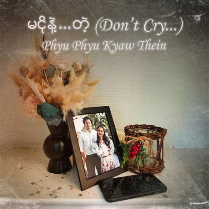 Phyu Phyu Kyaw Thein Biography, Age, Height, Husband, Net Worth, Family