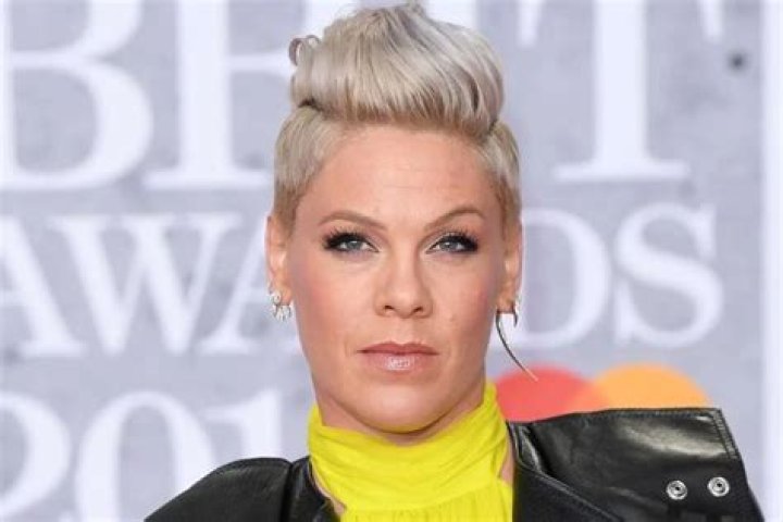 Pink Fires Back At The ‘Parenting Police’ With Wild Post