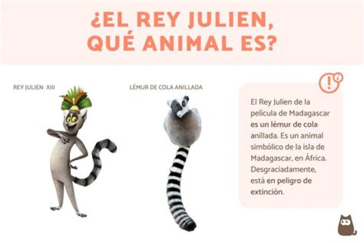 ¿Qué animal es el rey Koopa?