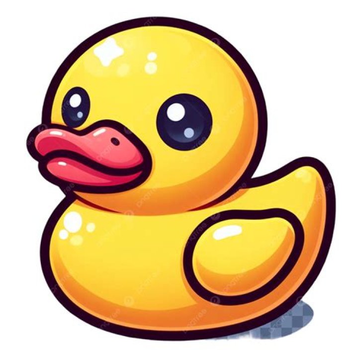 ¿Qué significa un patito de goma en un jeep? – Celebrity.fm