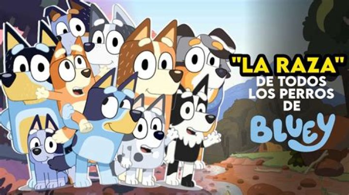 ¿Qué tipo de perro es la mamá de Blueys?