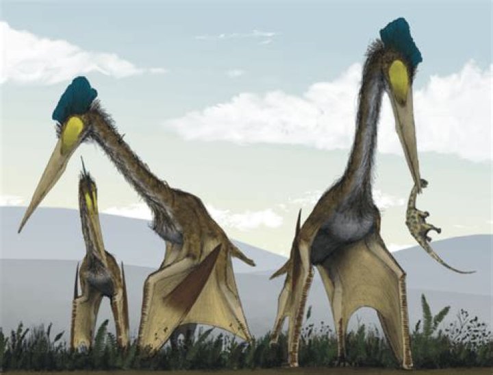 Quetzalcoatlus, The Largest Flying Dinosaur To Ever Live