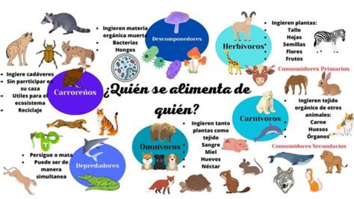 ¿Quién alimenta a la esposa de Phil?