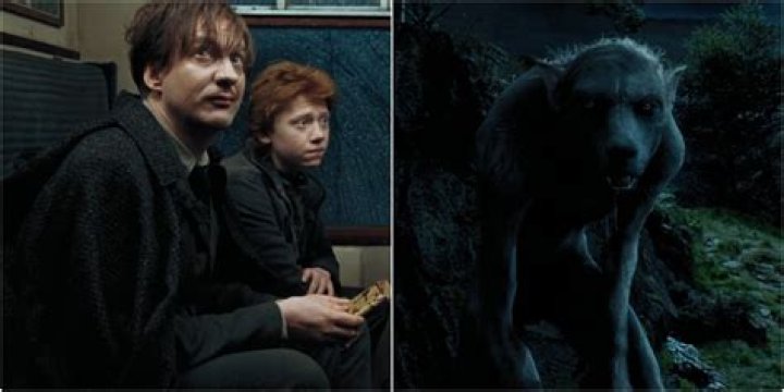 ¿Quién es el joven Remus Lupin?