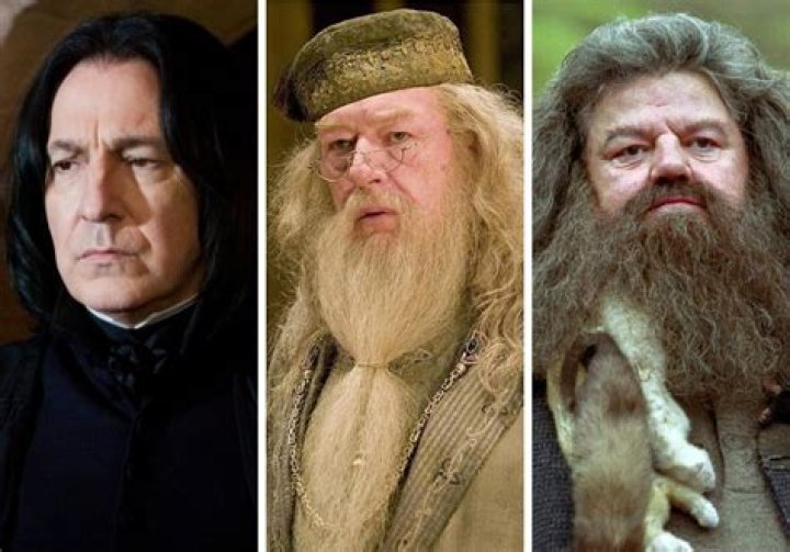¿Quiénes son los personajes masculinos de Harry Potter? – Celebrity.fm