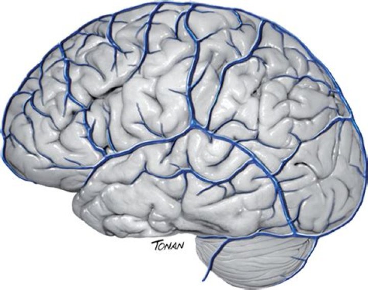 Dr. Samir Ale, MD – Coos Bay, OR