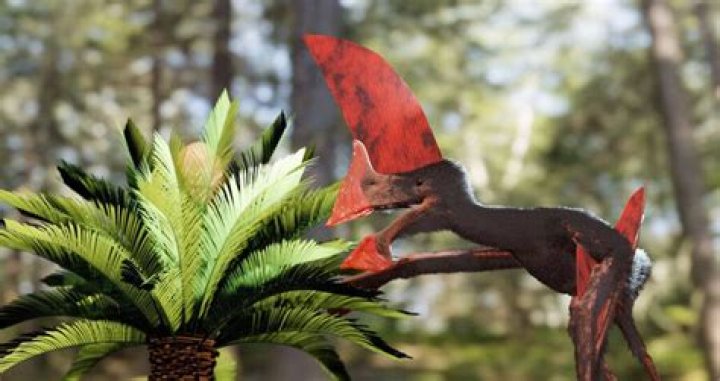 Scientists Reveal Most Complete Pterosaur Fossil Ever Discovered