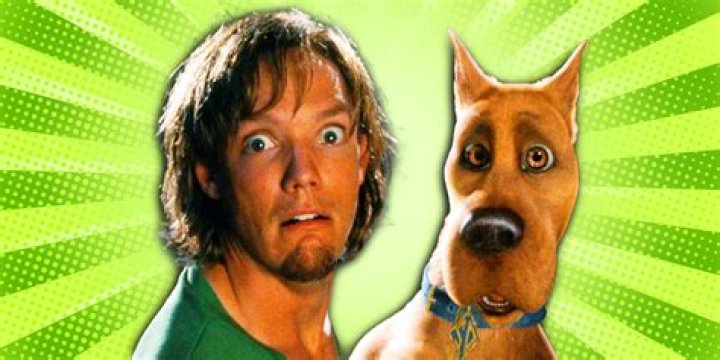 ¿Shaggy de Scooby-Doo es un drogadicto? – Celebrity.fm