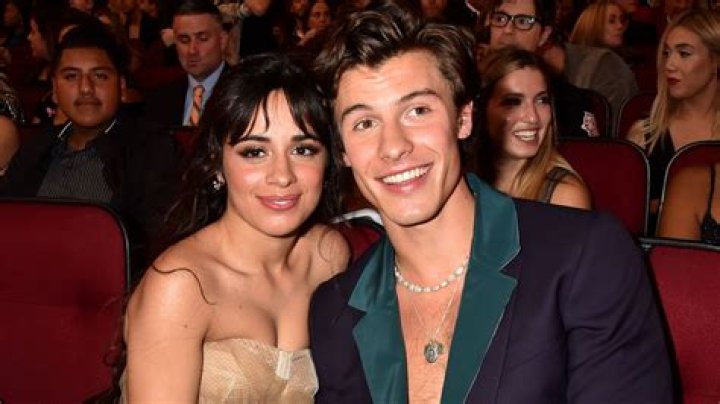 Shawn Mendes and Camila Cabello ‘Looked Like a Couple in Love’ During Romantic Dinner Date