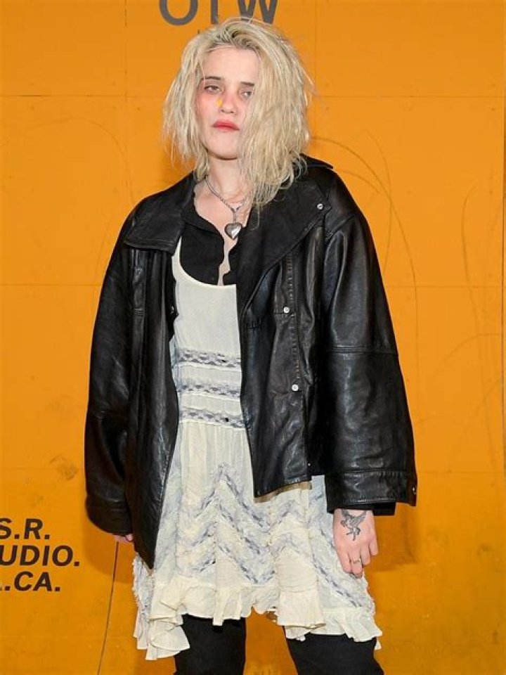 Sky Ferreira (Pop Singer) - Age, Birthday, Bio, Facts, Family, Net Worth, Height & More