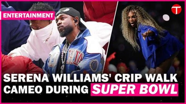 Snoop Dogg Threw Up C's & Did The Crip Walk At Super Bowl