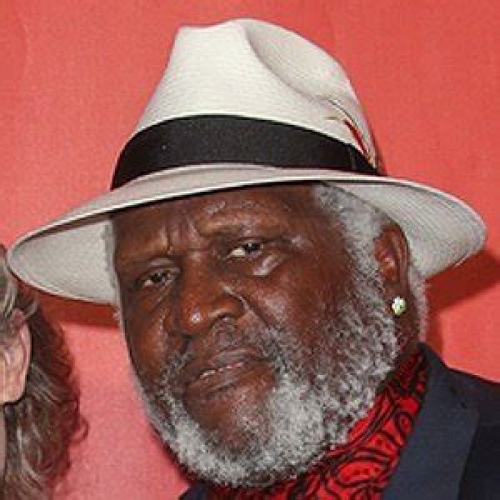Taj Mahal (Blues Singer) - Age, Birthday, Bio, Facts, Family, Net Worth, Height & More