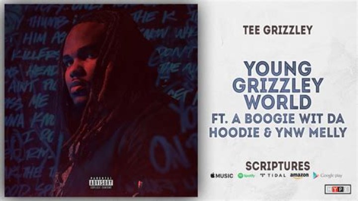 Tee Grizzley Taps YNW Melly & A Boogie Wit Da Hoodie For "Young Grizzley World"