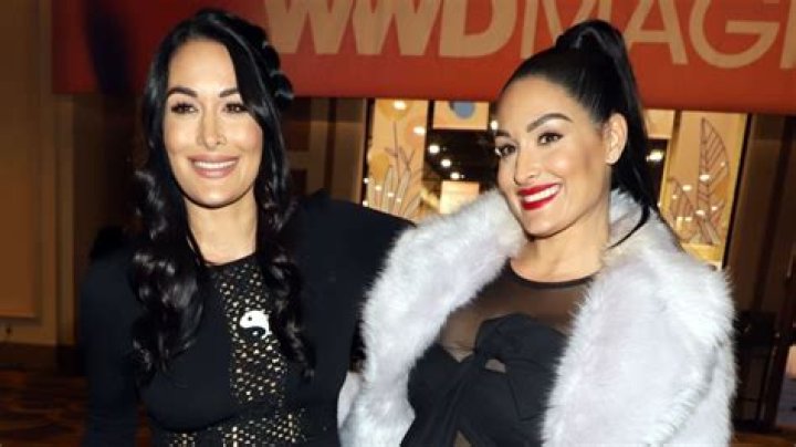 The Bella Twins Address Speculation That They Used IVF to Coordinate Pregnancies: ‘It’s So Ridiculous’