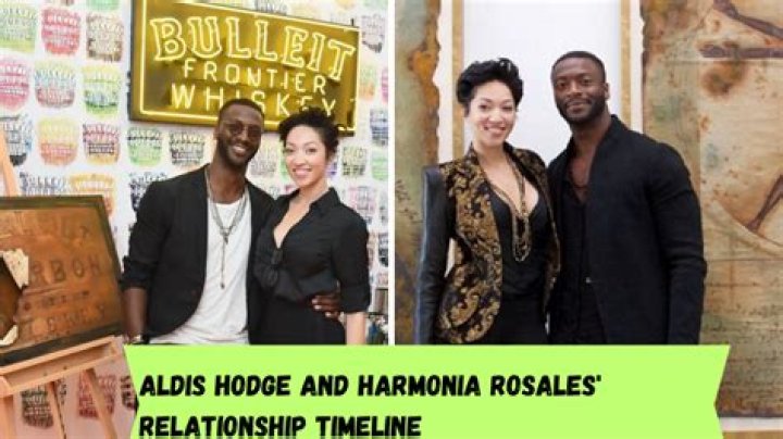 The Truth About Aldis Hodge’s Relationship With Girlfriend Harmonia Rosales, His Wife-To-Be Age and Net Worth