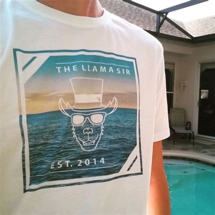 TheLlamaSir Net Worth and Earnings