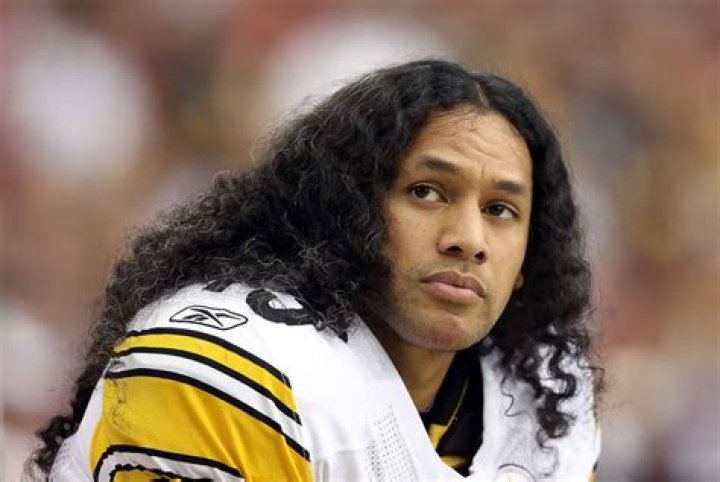 Troy Polamalu