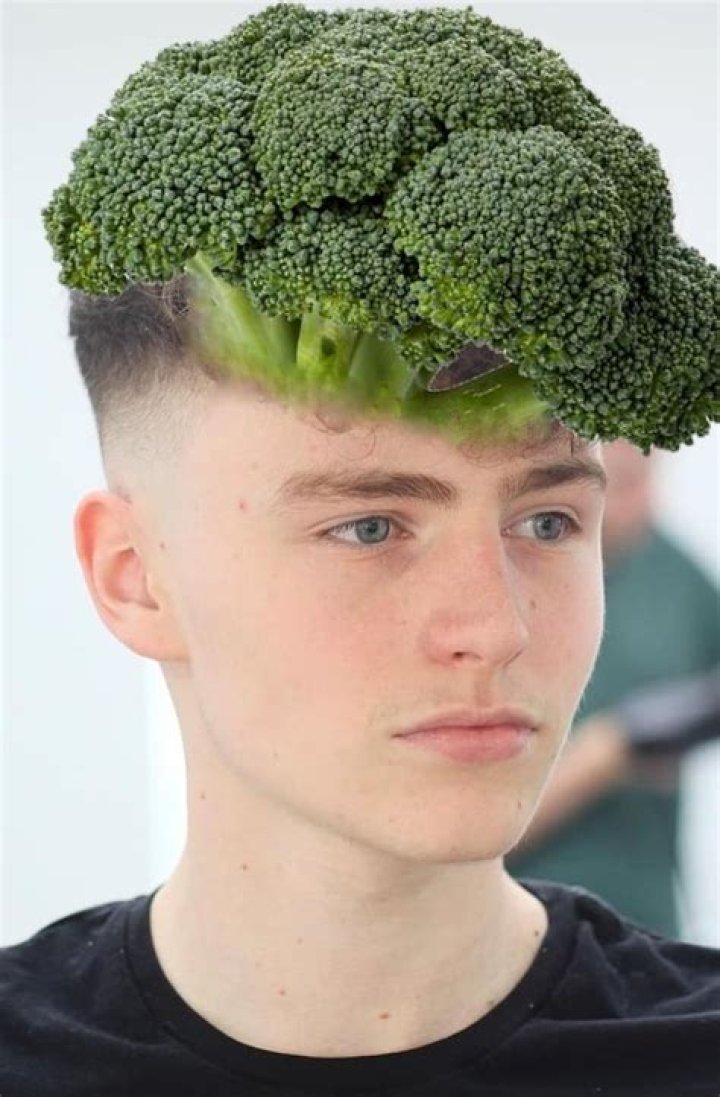 Videos: Tiktok Boy Wet Mop Haircut – Is It Related To Broccoli Hairstyle?