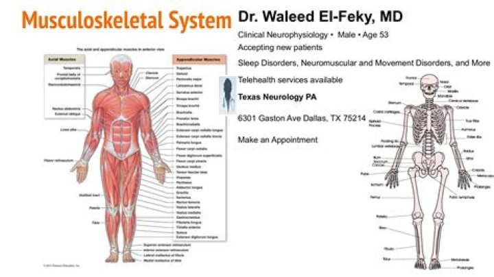 Dr. Waleed El-Feky, MD – Dallas, TX