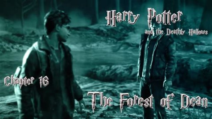 Was any of Harry Potter filmed in the Forest of Dean?