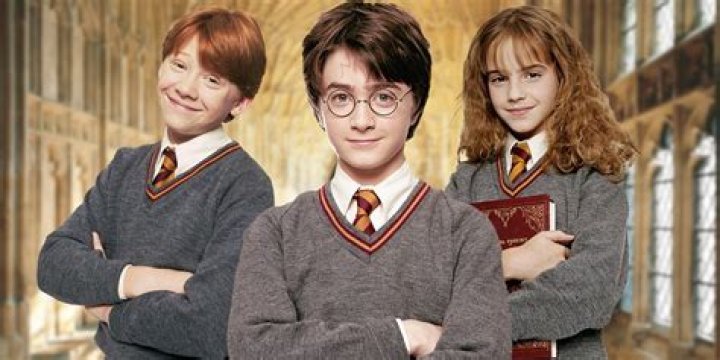 What did Harry and Hermione learn from Rita?