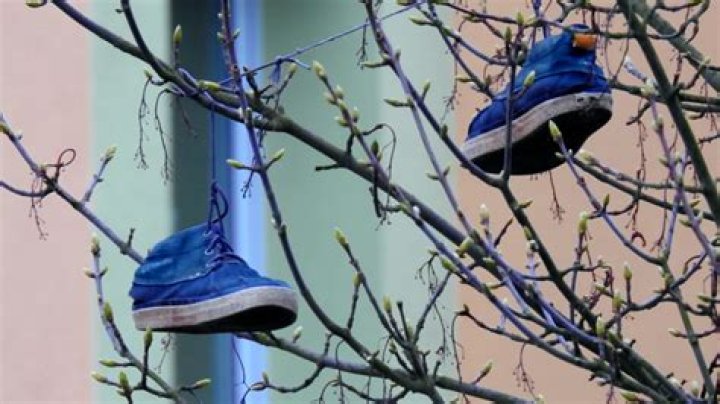 What does it mean to have shoes hanging from a tree?