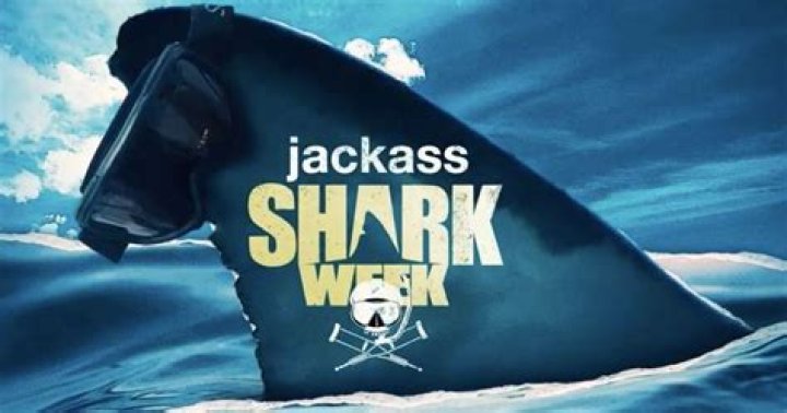 What Happened To Sean McInerney From Jackass? Shark Bite Update