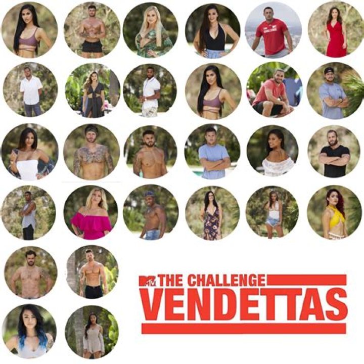 What happened to Sylvia on The Challenge: Vendettas?