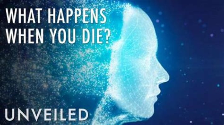 What Happens When You Die? What Scientists Think Happens In The Afterlife