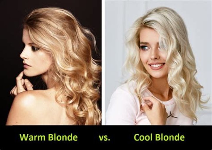What is the Difference Between Blond and Blonde