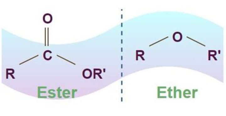 What is the Difference Between Ester and Ether