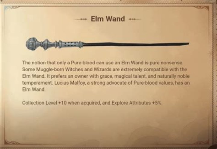 Who has an elm wood wand?