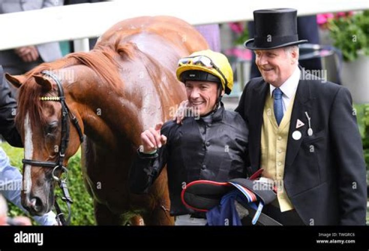 Who Is Bjorn Nielsen? Everything On The Owner Of Stradivarius Horse