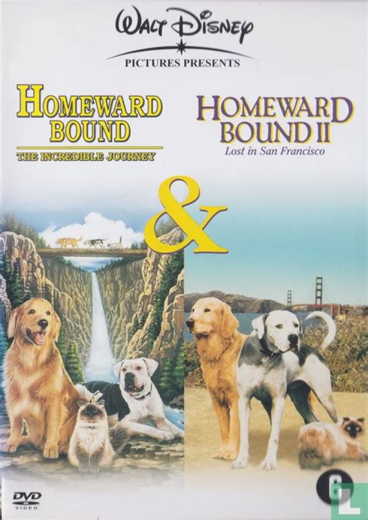 Who is Delilah in Homeward Bound 2? – Celebrity.fm – #1 Official Stars, Business & People Network, Wiki, Success story, Biography & Quotes