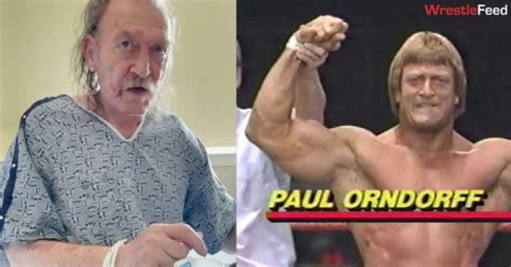 Who Is Travis Orndorff? Everything To Know About Paul Orndorff Son