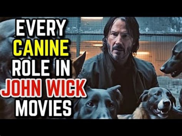 Who killed John Wick’s dog? – Celebrity.fm – #1 Official Stars, Business & People Network, Wiki, Success story, Biography & Quotes