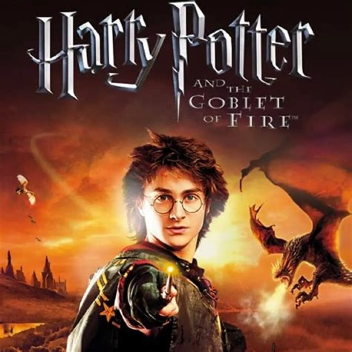 Why did Goblet of Fire choose Harry? – Celebrity.fm – #1 Official Stars, Business & People Network, Wiki, Success story, Biography & Quotes