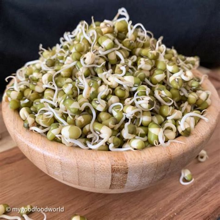 Why do bean sprouts taste bitter